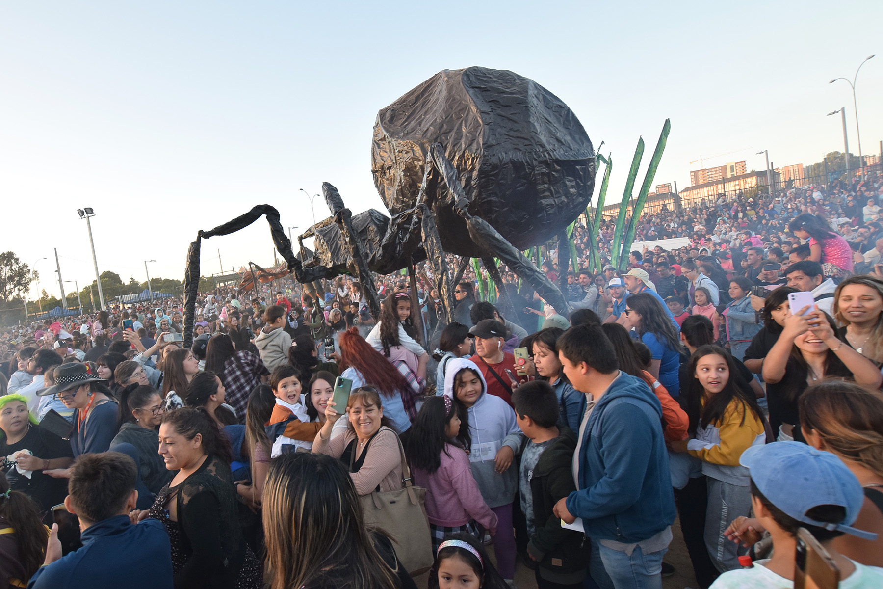 Compañía internacional y sus “insectos gigantes” invadieron Temuco en ...