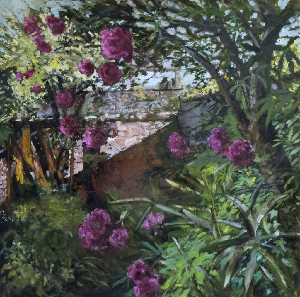 DESDE EL JARDÍN (2)