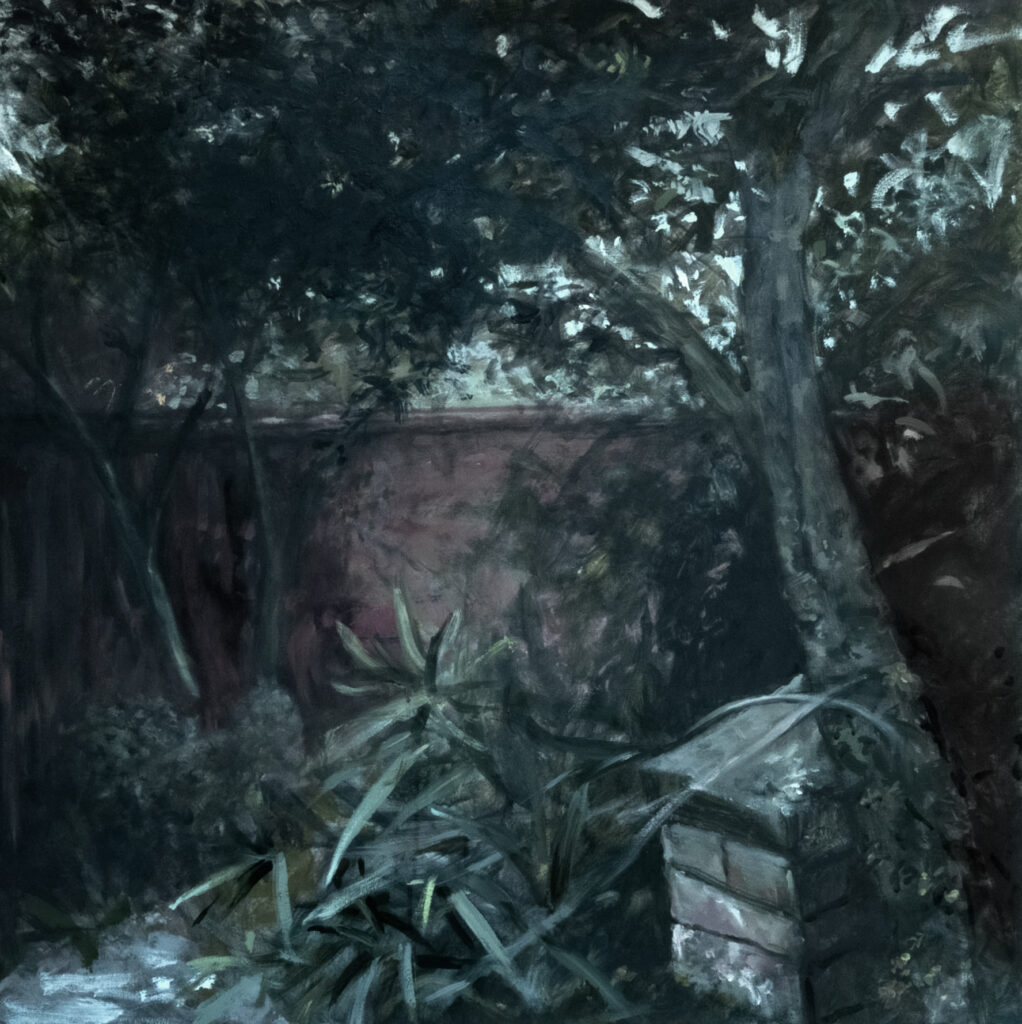 DESDE EL JARDÍN (3)
