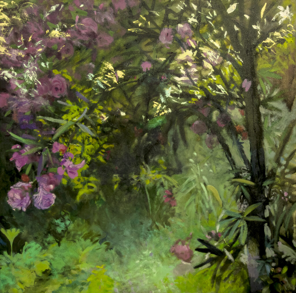 DESDE EL JARDÍN (4)