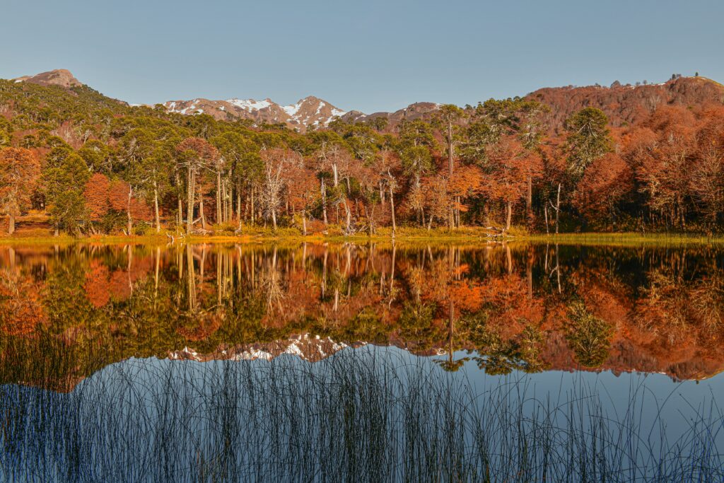 Laguna Karilafquen, Icalma exactamente en la frontera entre Chile y Argentina