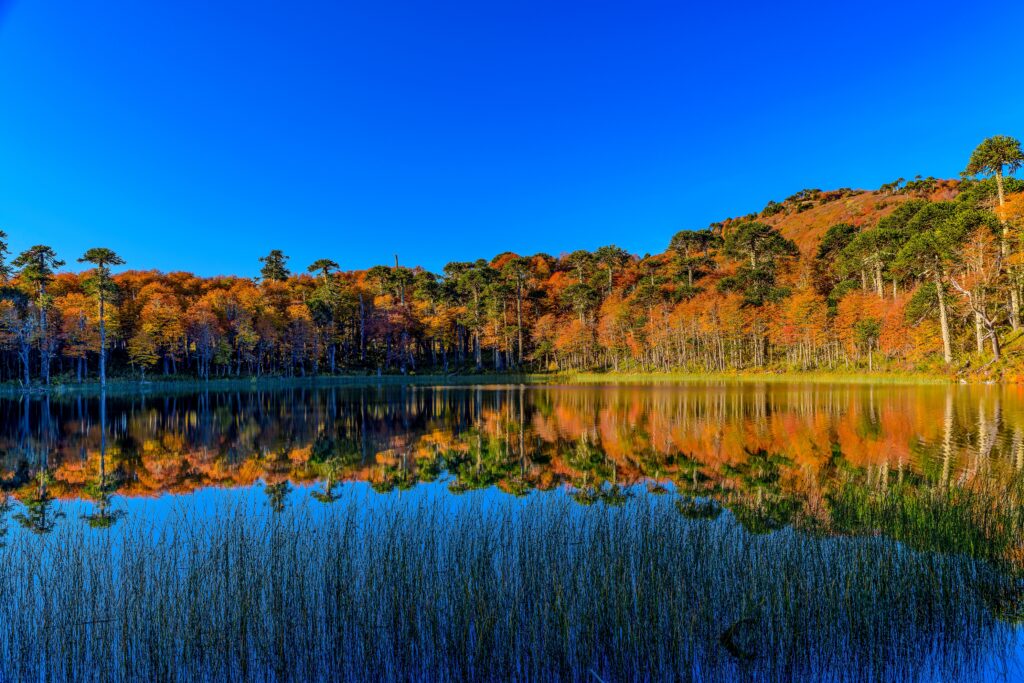 Laguna Karilafquen cerca de Icalma en la frontera con Argentina