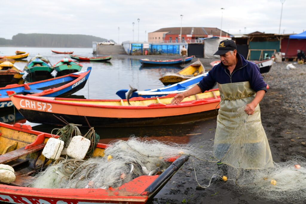 PESCADOR- PUERTO SAAVEDRA